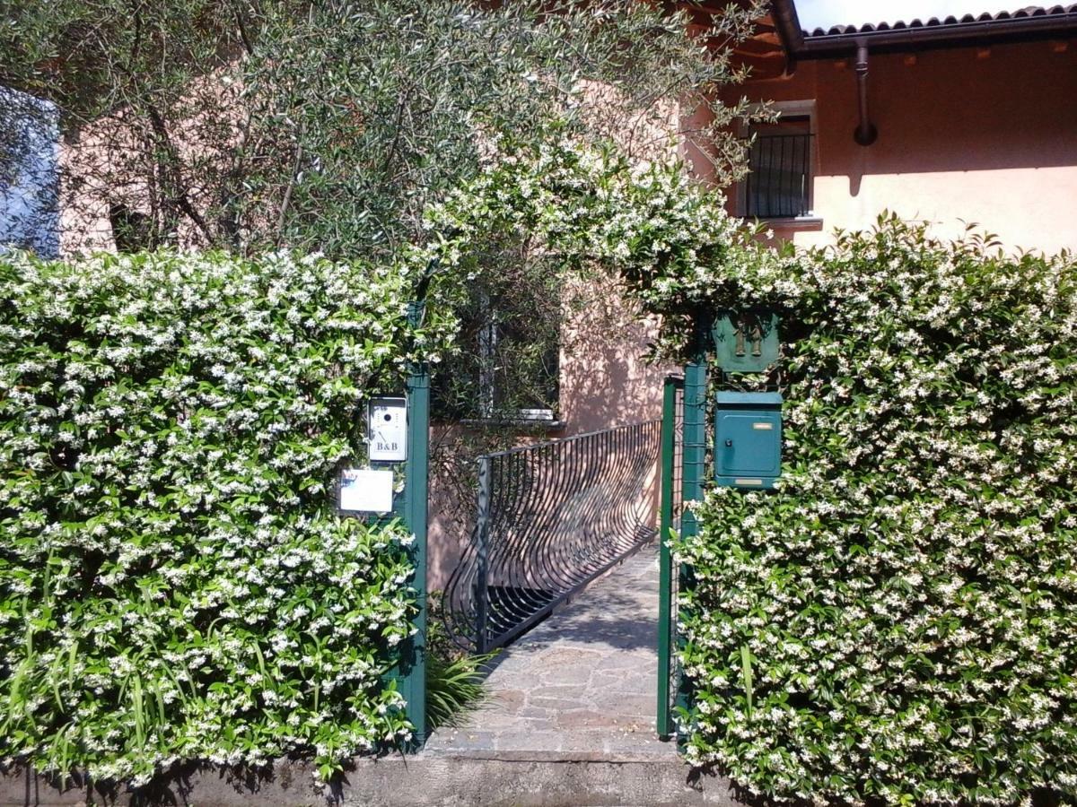 B&B L'Erica Onno Luaran gambar
